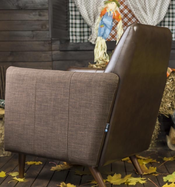 Кресло Парлур - вид сзади