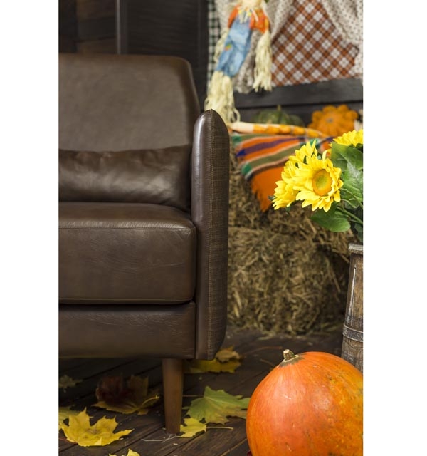 Левая сторона кресла Парлур