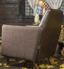 Кресло Парлур - вид сзади