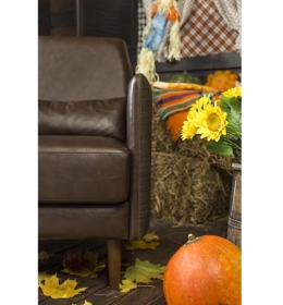 Левая сторона кресла Парлур